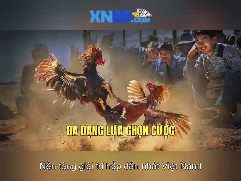 xn88: Nền tảng trò chơi trực tuyến và đánh giá