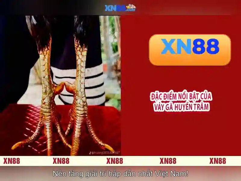 xn88 và sự lan tỏa của nền tảng giải trí trực tuyến