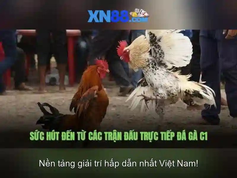 Tổng quan chủ đề và giá trị cốt lõi