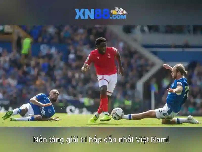 Tổng quan chủ đề và giá trị cốt lõi