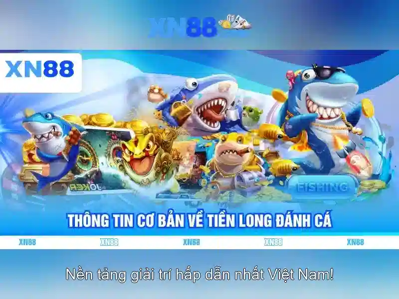 Giới thiệu xn88