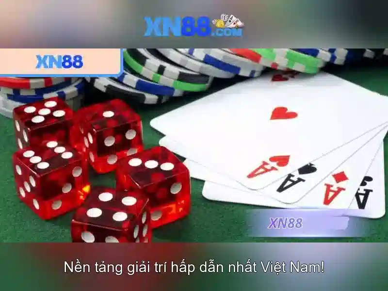 Đặc điểm và sản phẩm của xn88