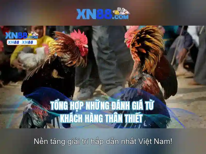 xn88: Nền tảng chơi game trực tuyến và đánh giá chi tiết