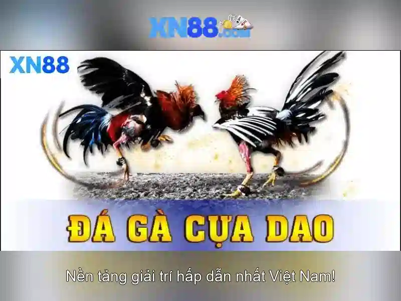 xn88: Tổng quan và hướng dẫn tham gia