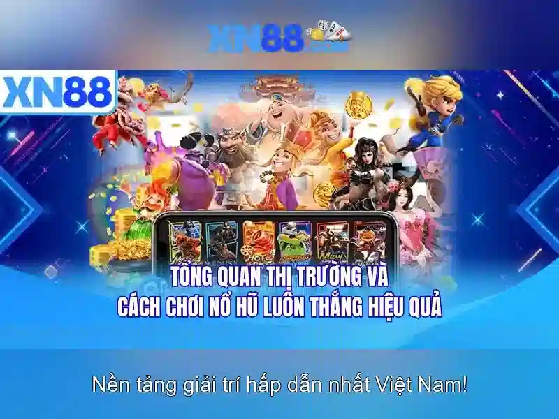 Trải nghiệm người dùng và phản hồi từ cộng đồng