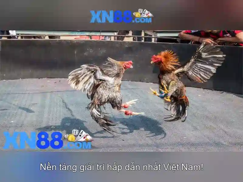 XN88 - Nền tảng chơi game trực tuyến tại Việt Nam