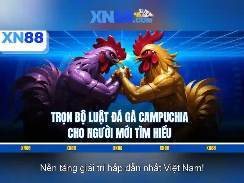 Khuyến mãi và an toàn người chơi