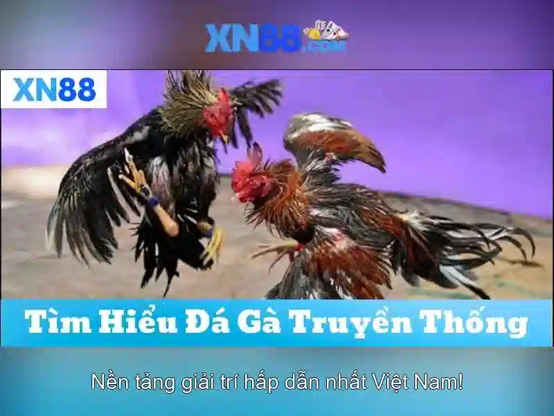Giới thiệu về XN88