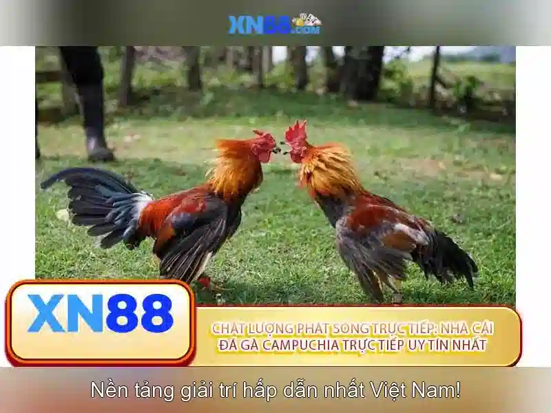 Tính năng và sản phẩm nổi bật
