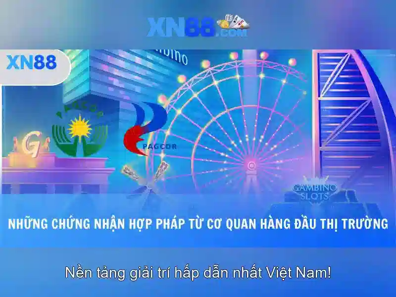 Trải nghiệm người dùng và phản hồi cộng đồng