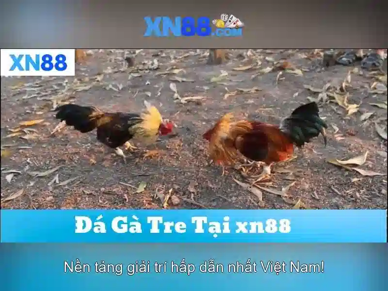Đảm bảo an toàn và thanh toán