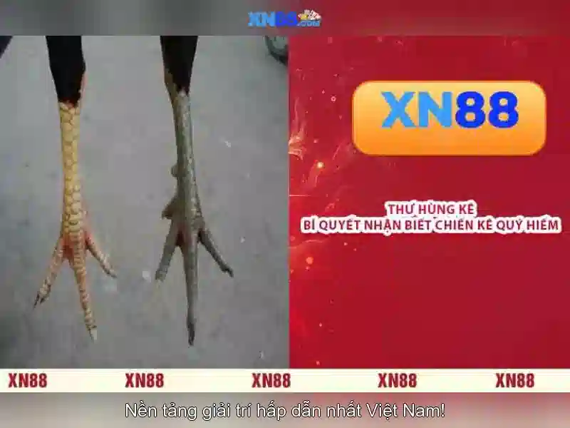 <!--IMG_PLACEHOLDER alt>Sản phẩm và dịch vụ chính: ứng dụng thực tế của tại game xn88-->