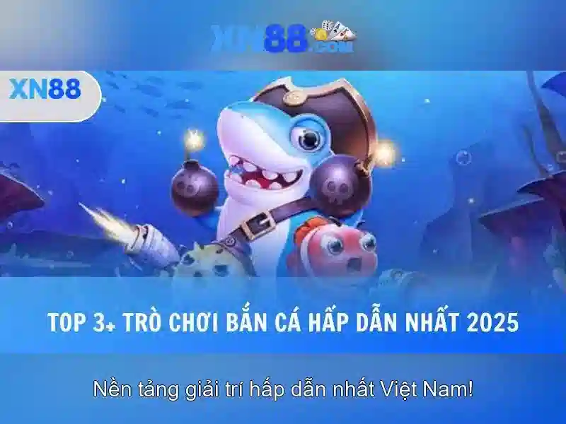 <!--IMG_PLACEHOLDER alt>Kết luận về xn88-->