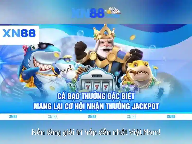 Giới thiệu về xn88