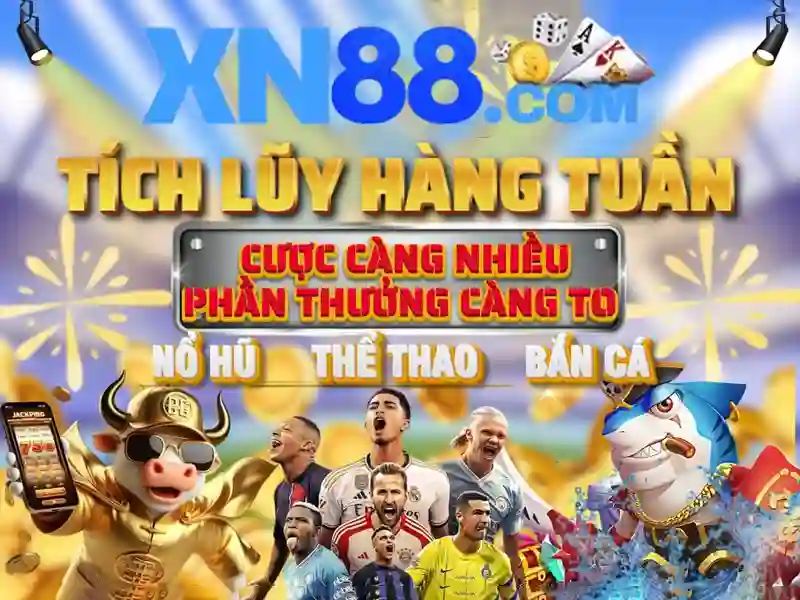 Hướng dẫn bắt đầu và sử dụng xn88