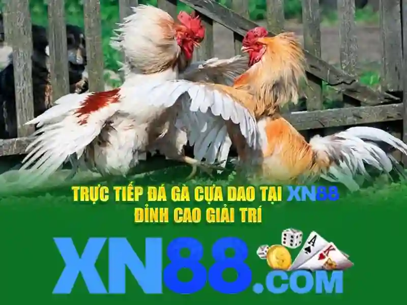 xn88: Đánh giá và các tính năng nổi bật